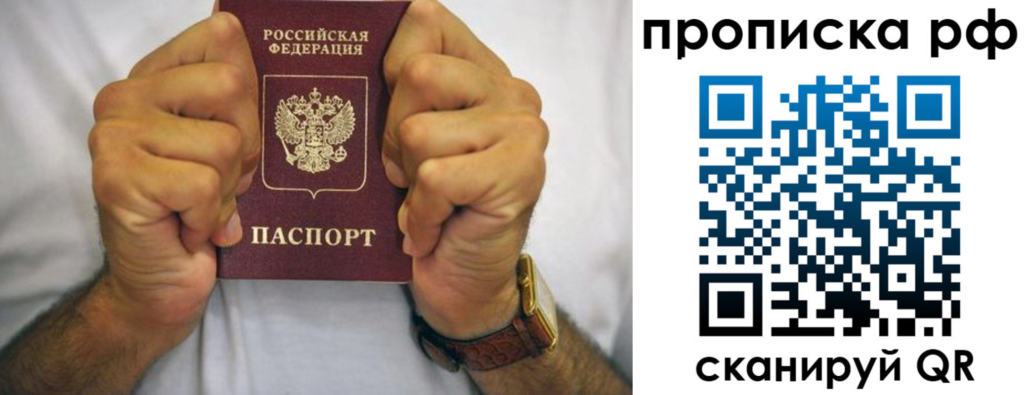 прописка регистрация в Долгопрудном